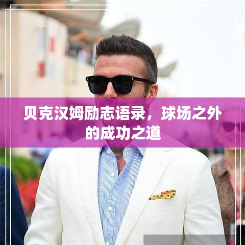 仙姿佚貌