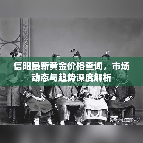 信阳最新黄金价格查询，市场动态与趋势深度解析