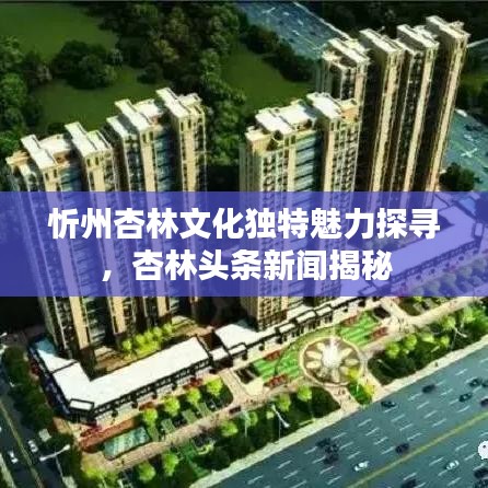 洵属可贵