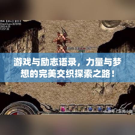 鸢飞戾天