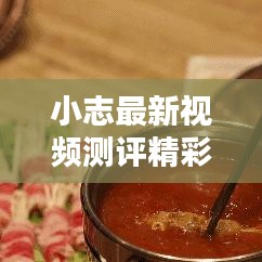小志最新视频测评精彩集锦，在线观看不容错过