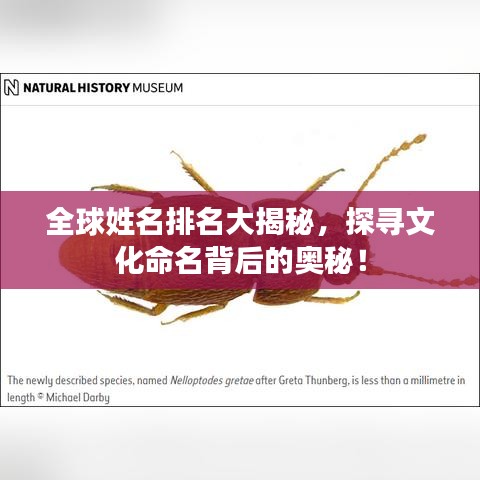 手不释卷