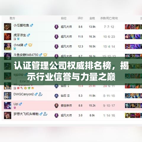 认证管理公司权威排名榜，揭示行业信誉与力量之巅