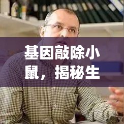 基因敲除小鼠，揭秘生命科学神秘工具之旅