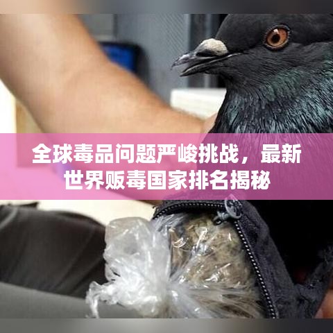 全球毒品问题严峻挑战，最新世界贩毒国家排名揭秘