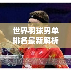 世界羽球男单排名最新解析，精英选手实力对比，排名大揭秘！