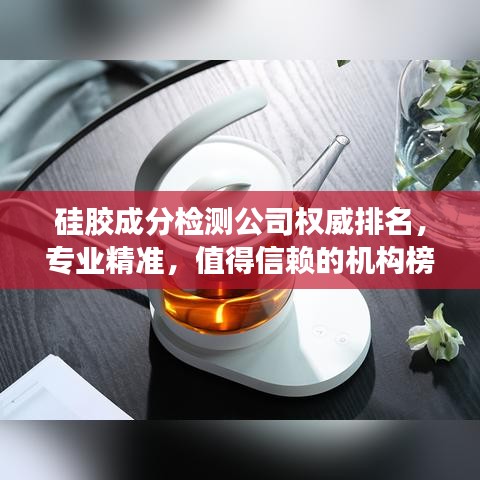 硅胶成分检测公司权威排名，专业精准，值得信赖的机构榜单