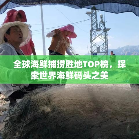全球海鲜捕捞胜地TOP榜，探索世界海鲜码头之美