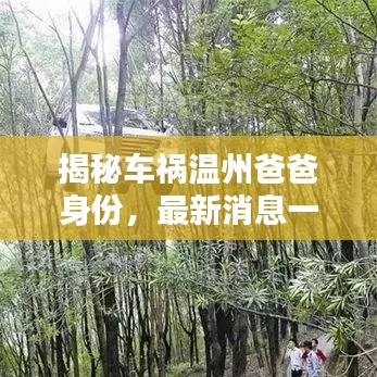 揭秘车祸温州爸爸身份，最新消息一览无余