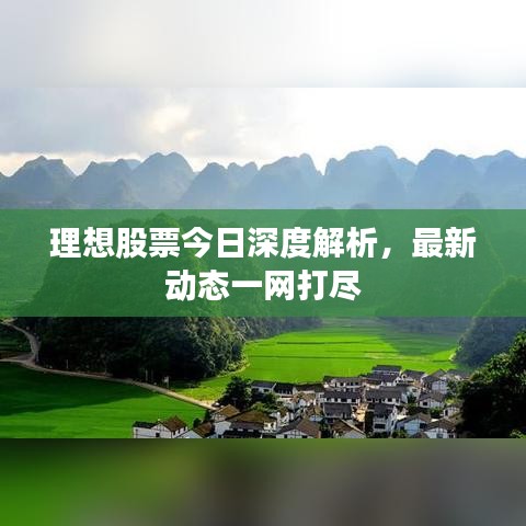 理想股票今日深度解析，最新动态一网打尽