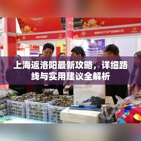 上海返洛阳最新攻略，详细路线与实用建议全解析