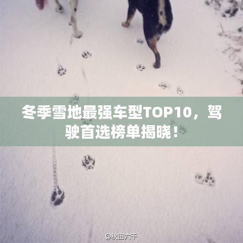 冬季雪地最强车型TOP10，驾驶首选榜单揭晓！