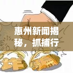 惠州新闻揭秘，抓捕行动背后的故事