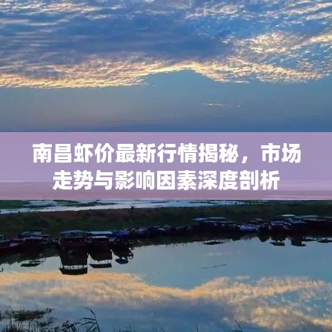 南昌虾价最新行情揭秘，市场走势与影响因素深度剖析
