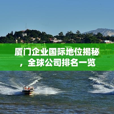 厦门企业国际地位揭秘，全球公司排名一览