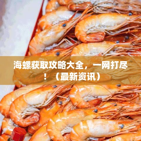 海螺获取攻略大全，一网打尽！（最新资讯）