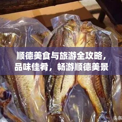 顺德美食与旅游全攻略，品味佳肴，畅游顺德美景