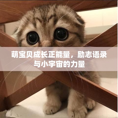 萌宝贝成长正能量，励志语录与小宇宙的力量