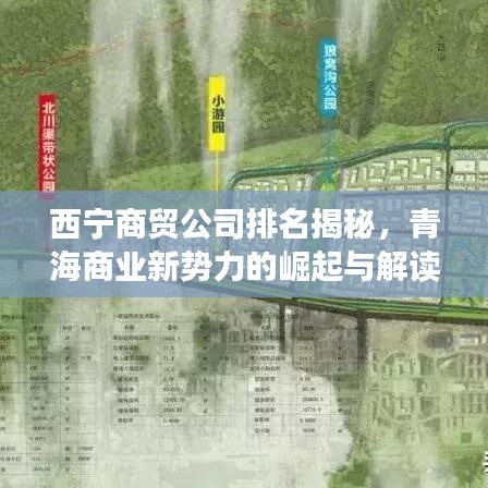 西宁商贸公司排名揭秘，青海商业新势力的崛起与解读