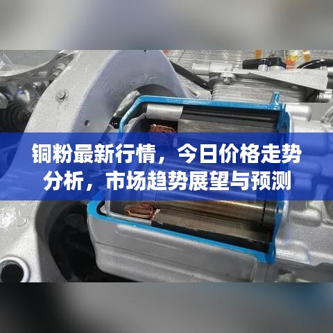 铜粉最新行情，今日价格走势分析，市场趋势展望与预测