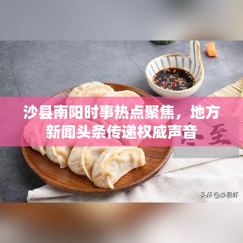 沙县南阳时事热点聚焦，地方新闻头条传递权威声音