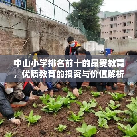 中山小学排名前十的昂贵教育，优质教育的投资与价值解析
