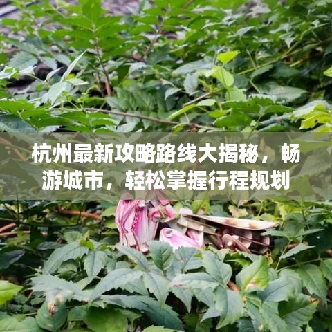 杭州最新攻略路线大揭秘，畅游城市，轻松掌握行程规划