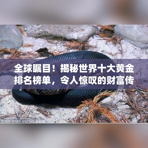 全球瞩目！揭秘世界十大黄金排名榜单，令人惊叹的财富传奇！
