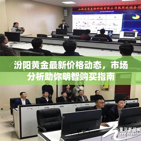 汾阳黄金最新价格动态，市场分析助你明智购买指南